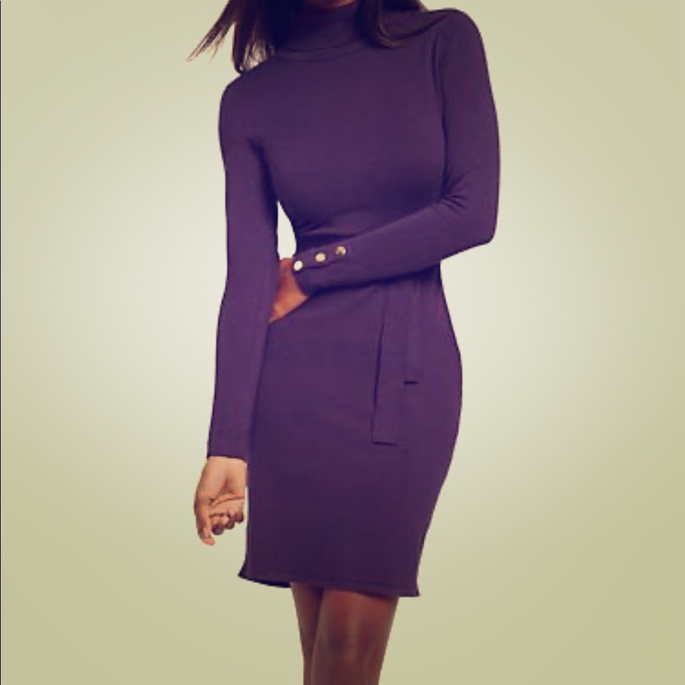 Turtle neck sweater dress